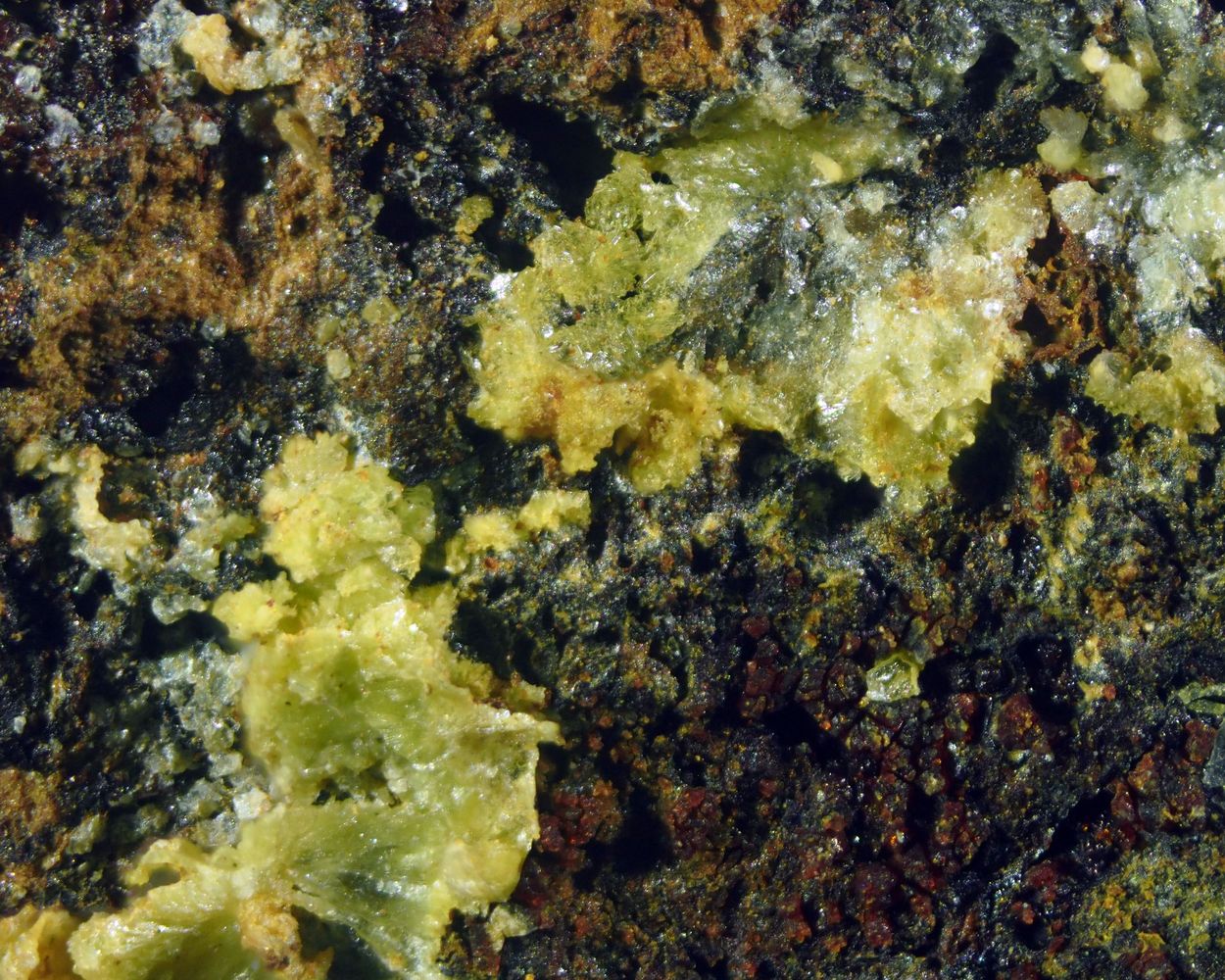 Calcioferrite
