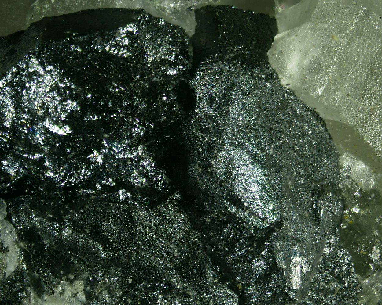 Titanowodginite