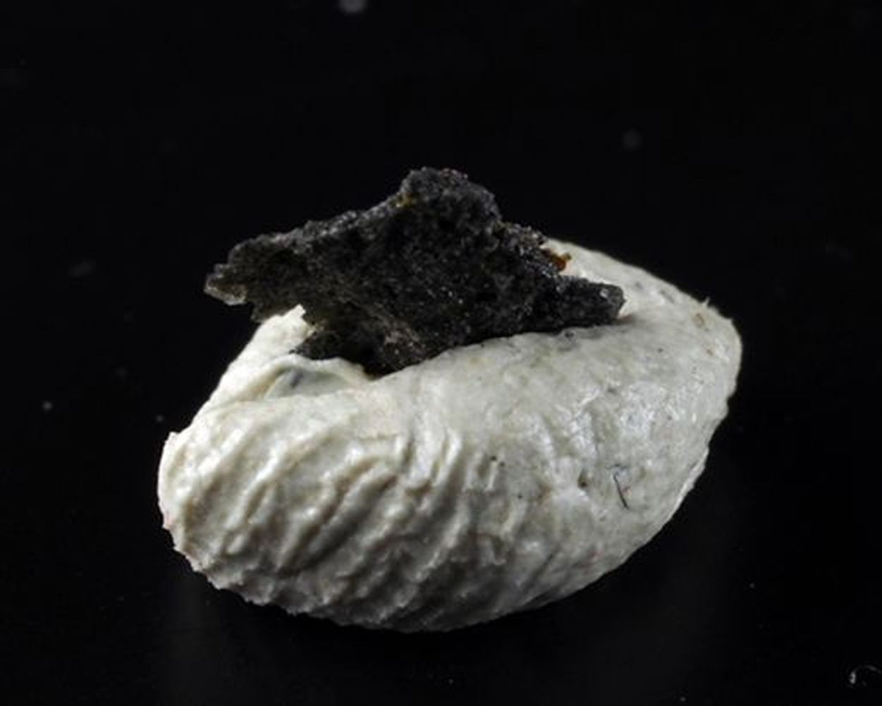 Engelhauptite