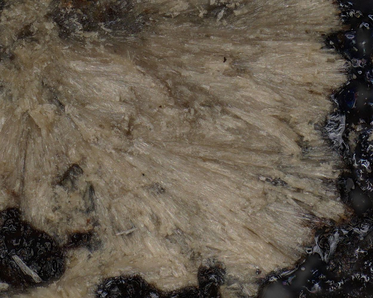 Allactite