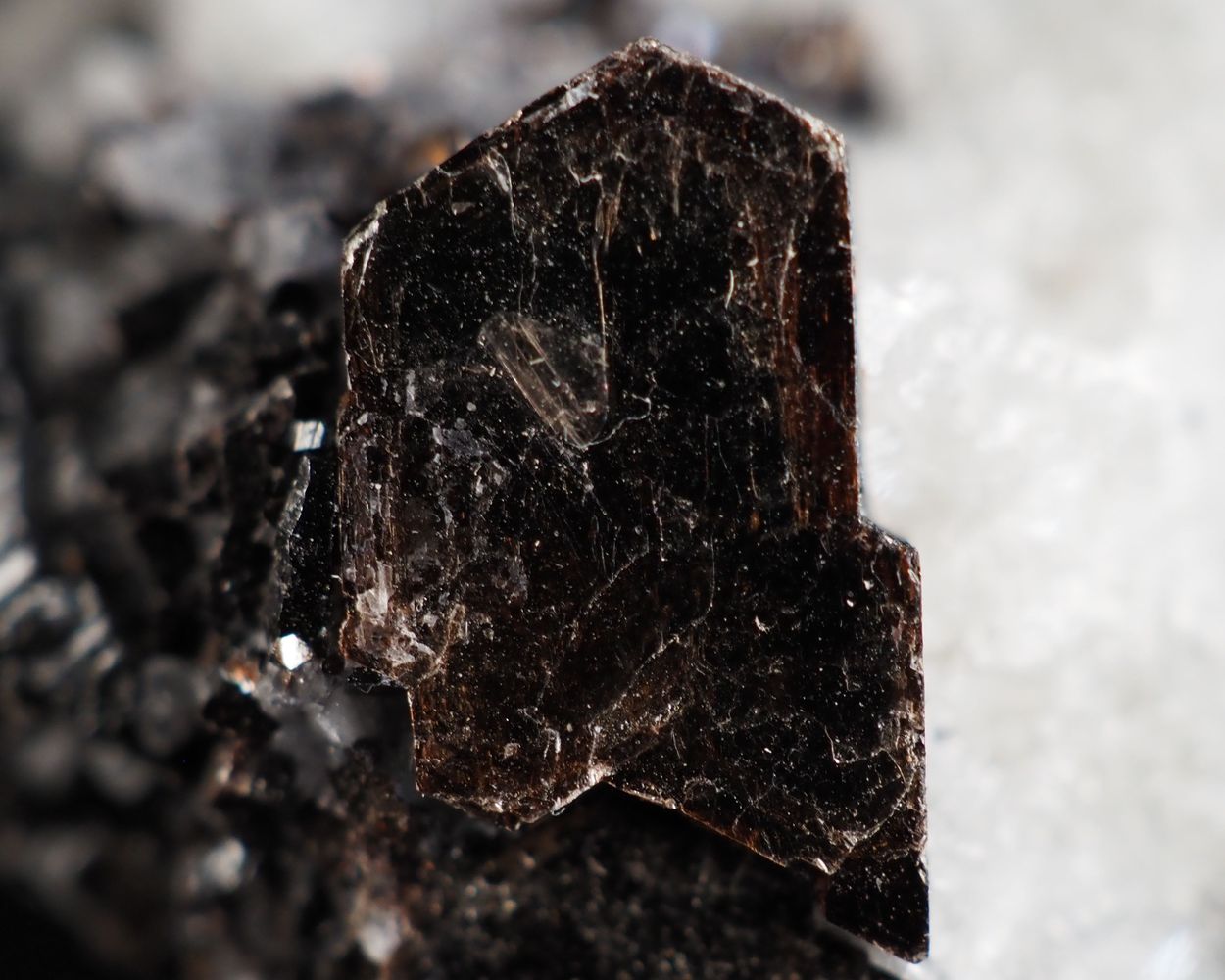 Tetraferriphlogopite