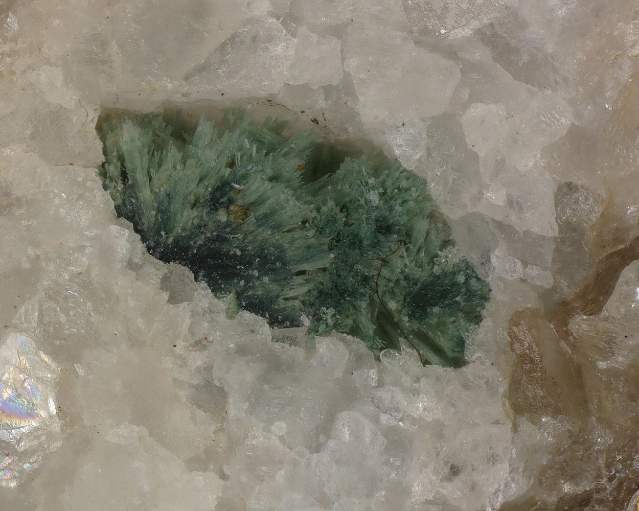 Gormanite