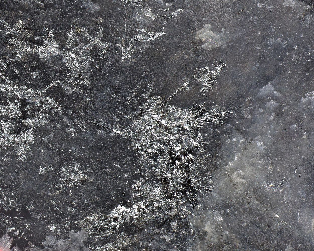 Aurostibite