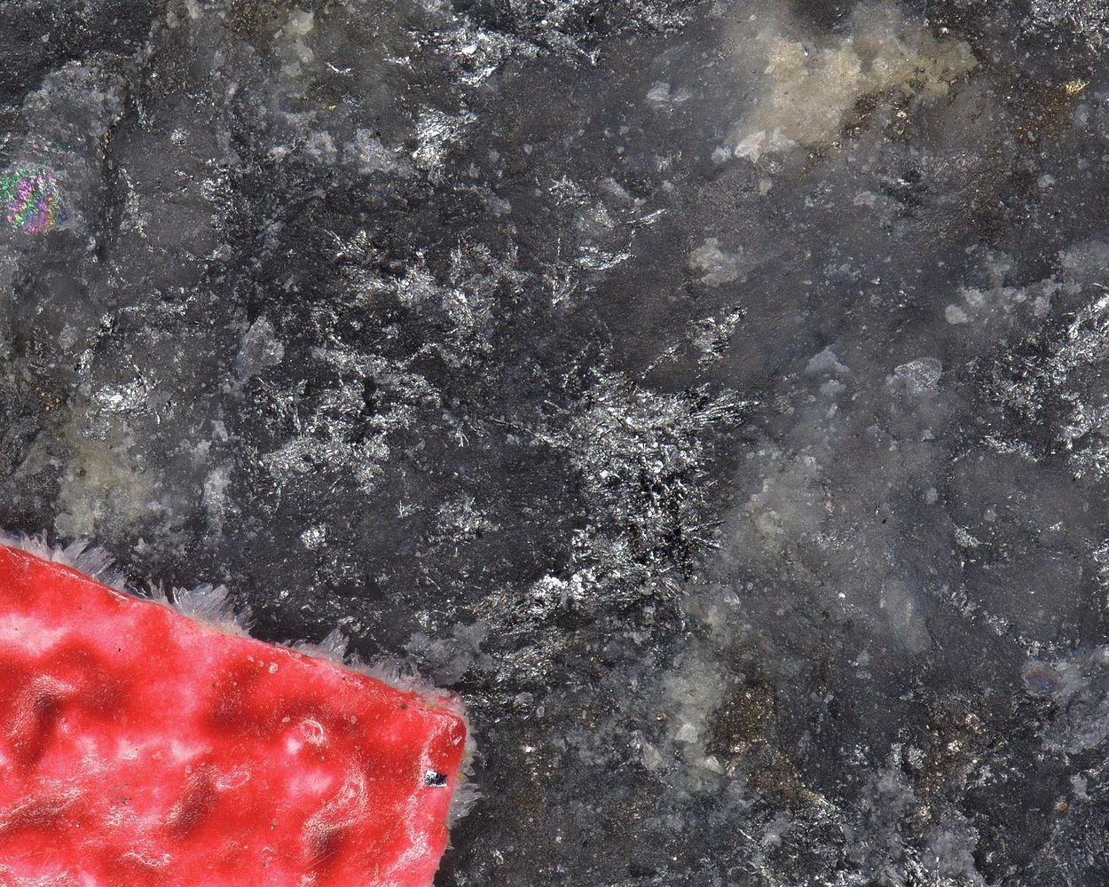 Aurostibite