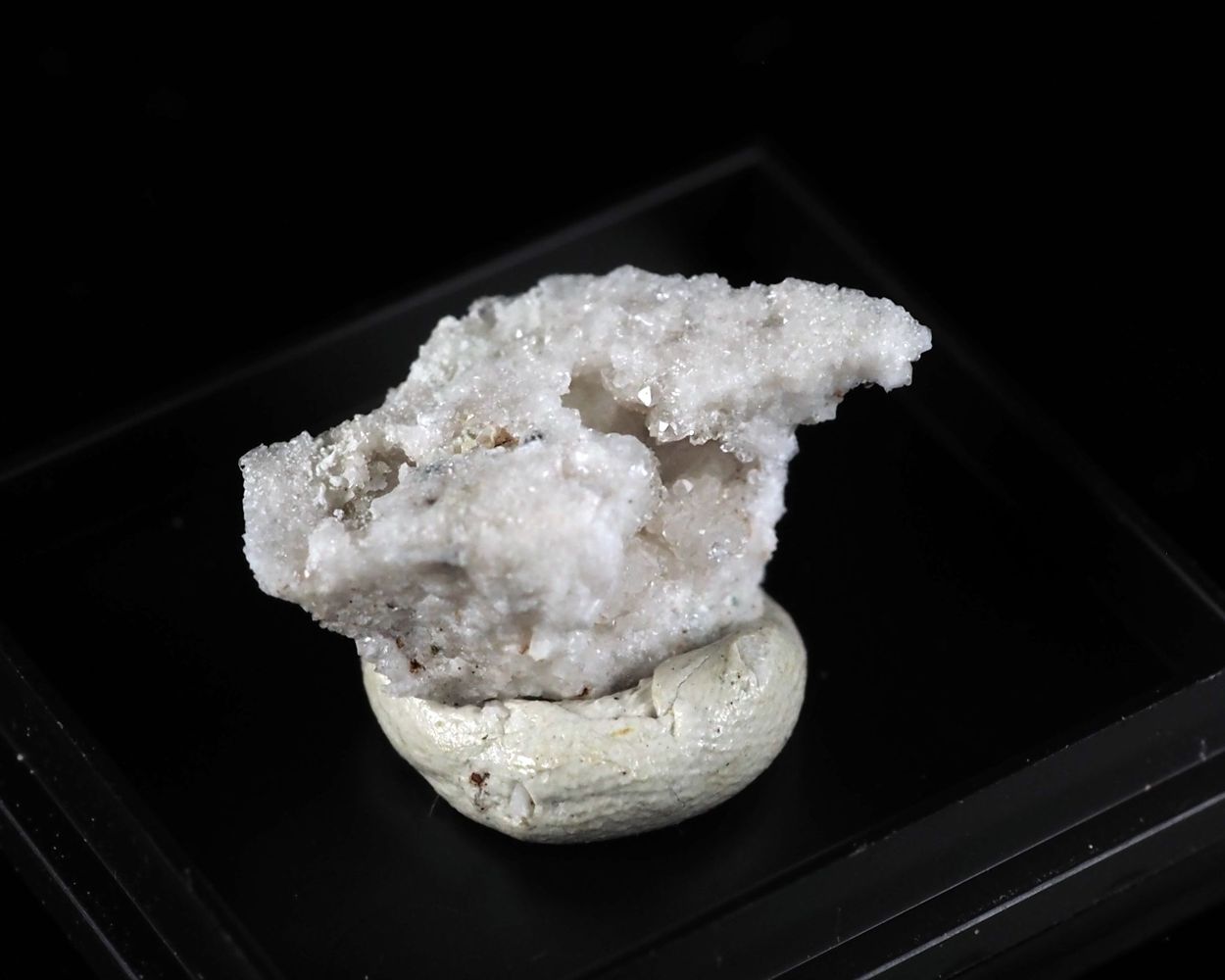 Arsenogorceixite