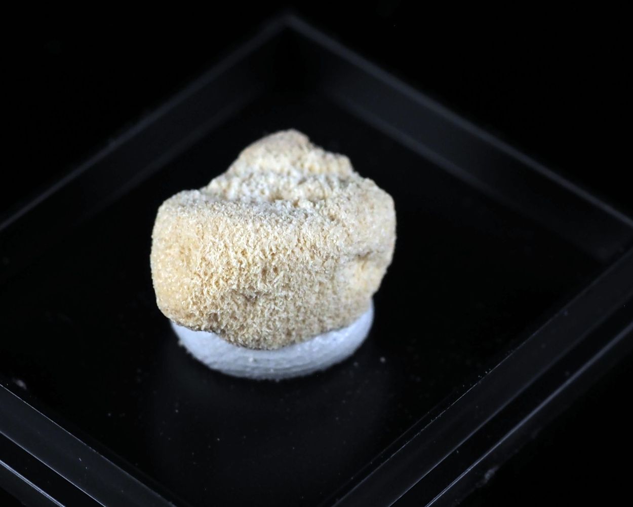 Hedegaardite