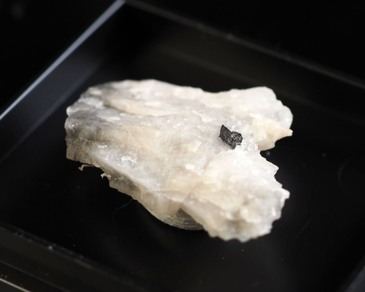Titanowodginite