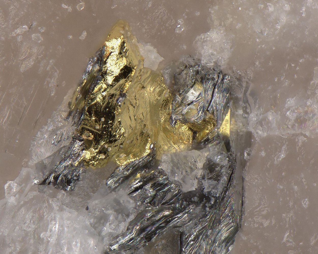 Gold With Tetradymite