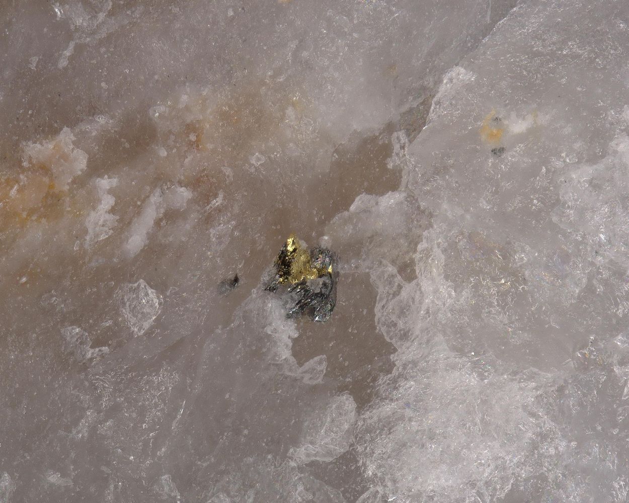Gold With Tetradymite