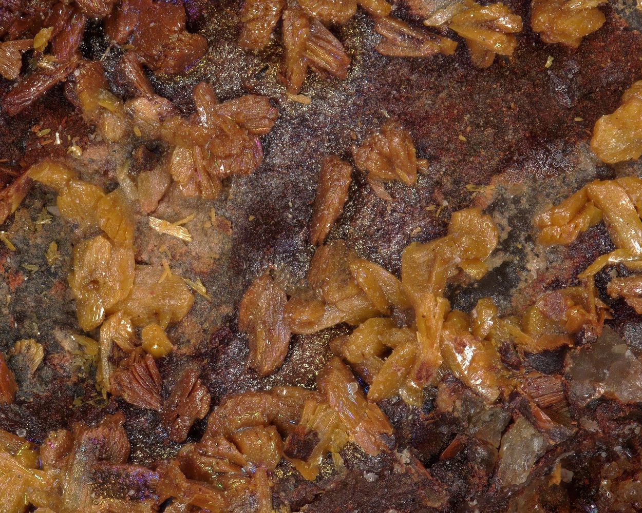 Moctezumite
