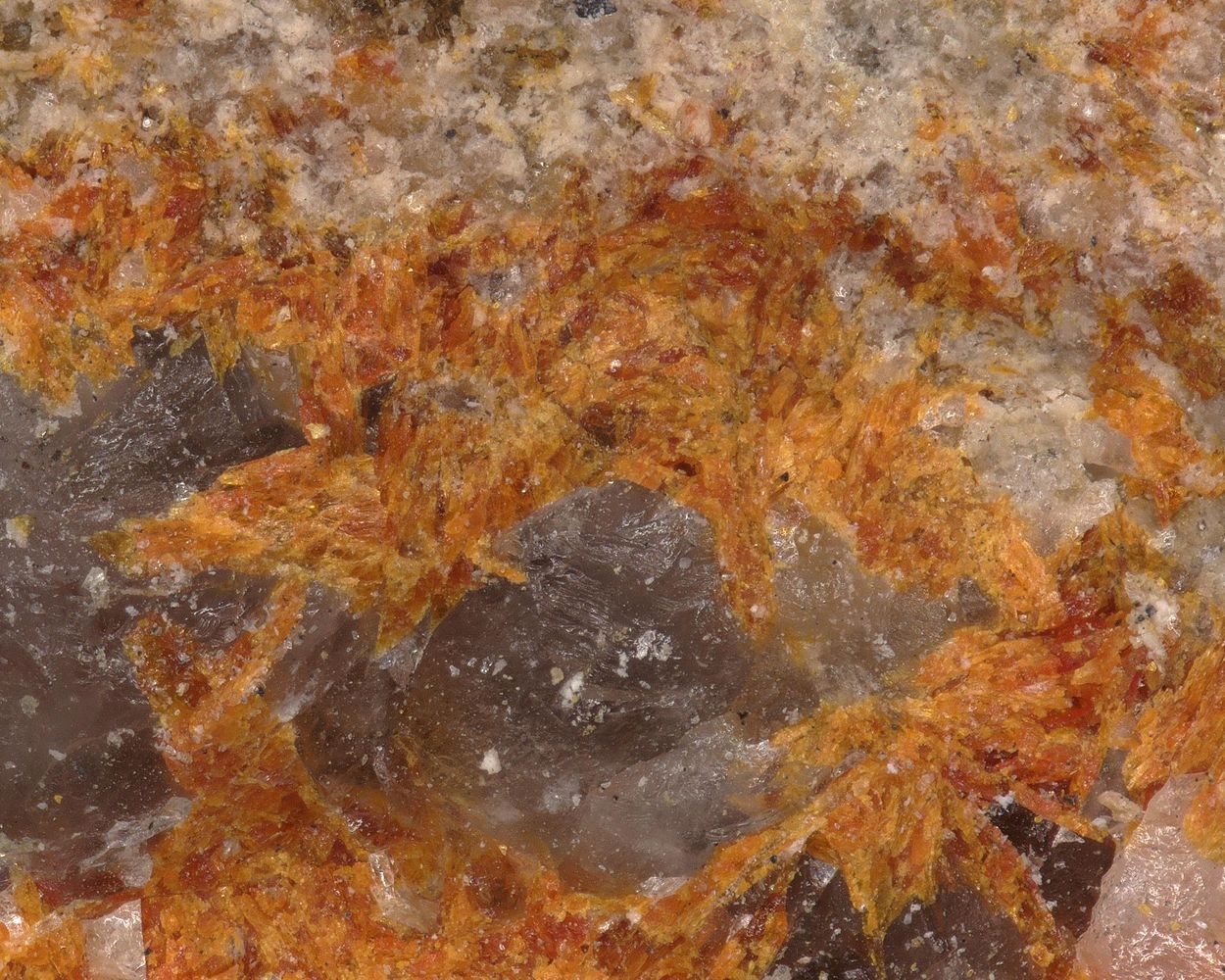 Saneroite