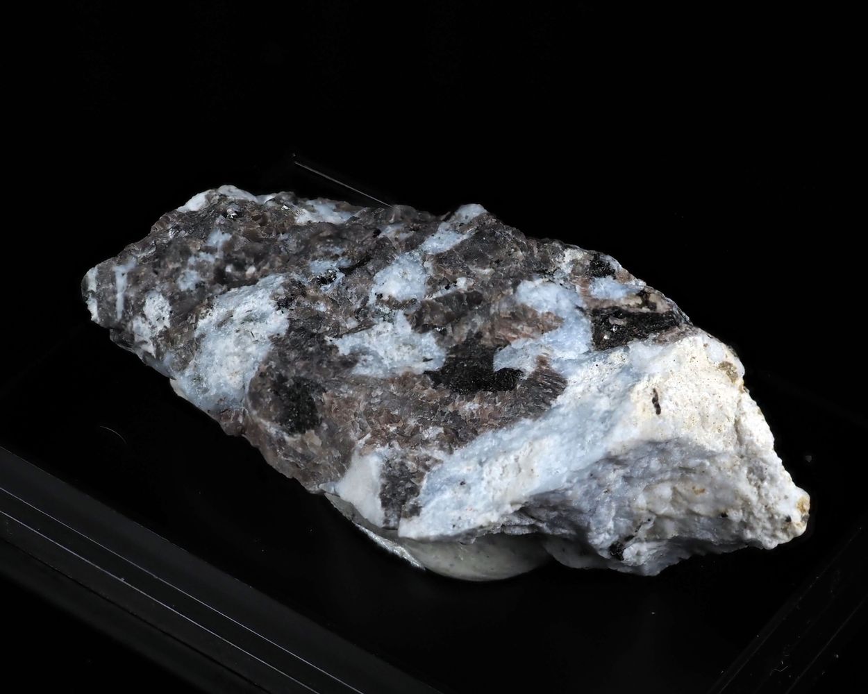 Vishnevite