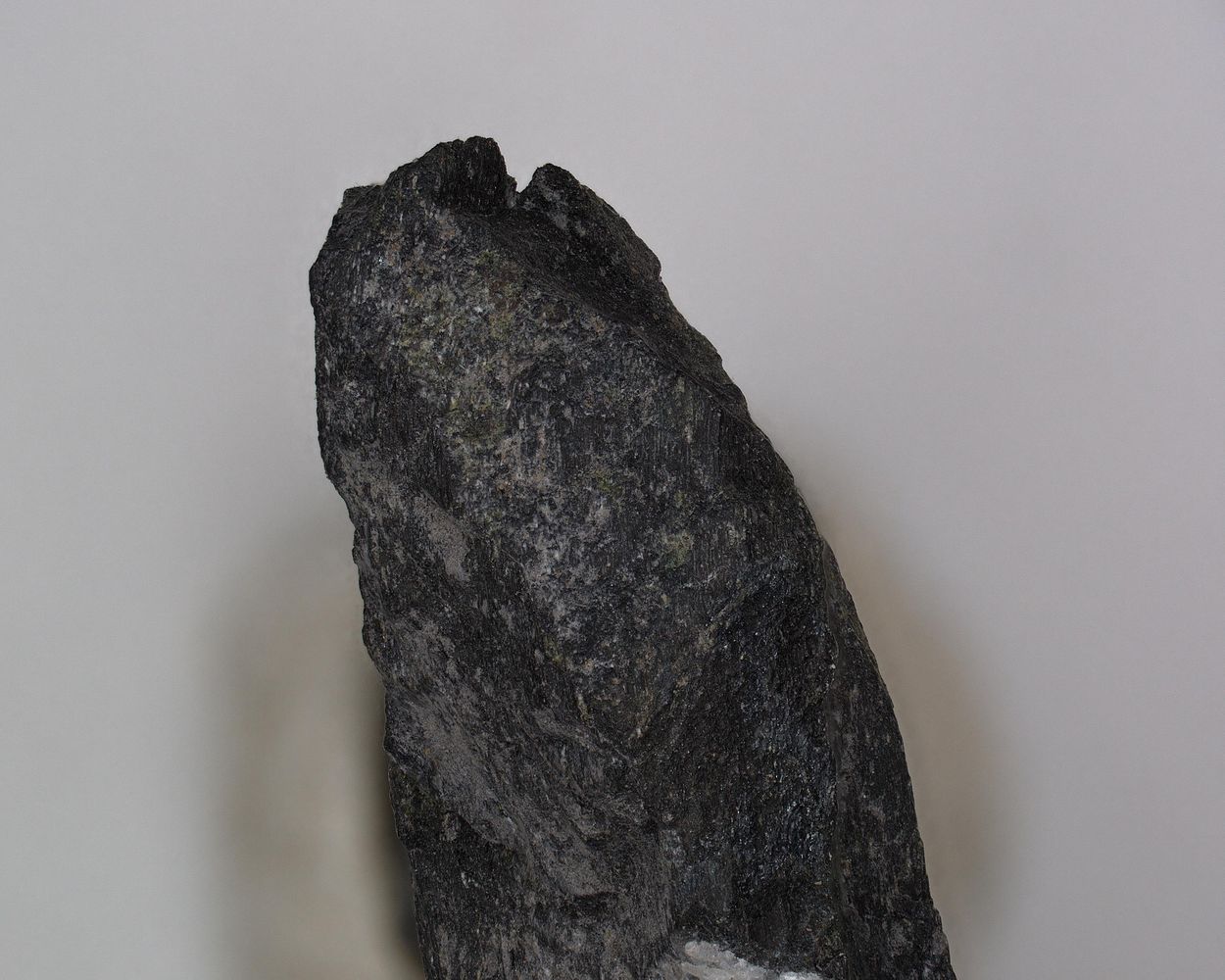 Cortesognoite