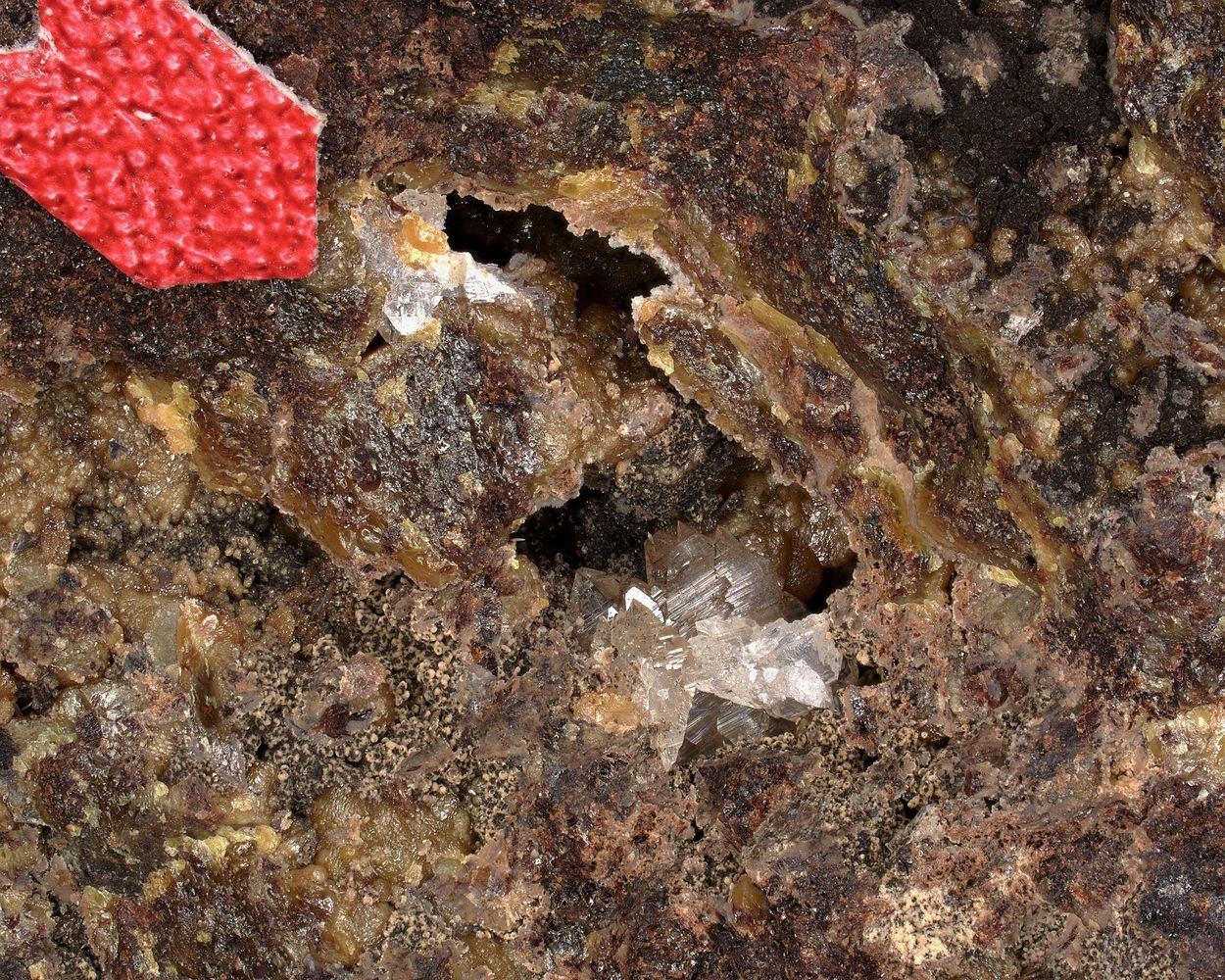 Brandtite