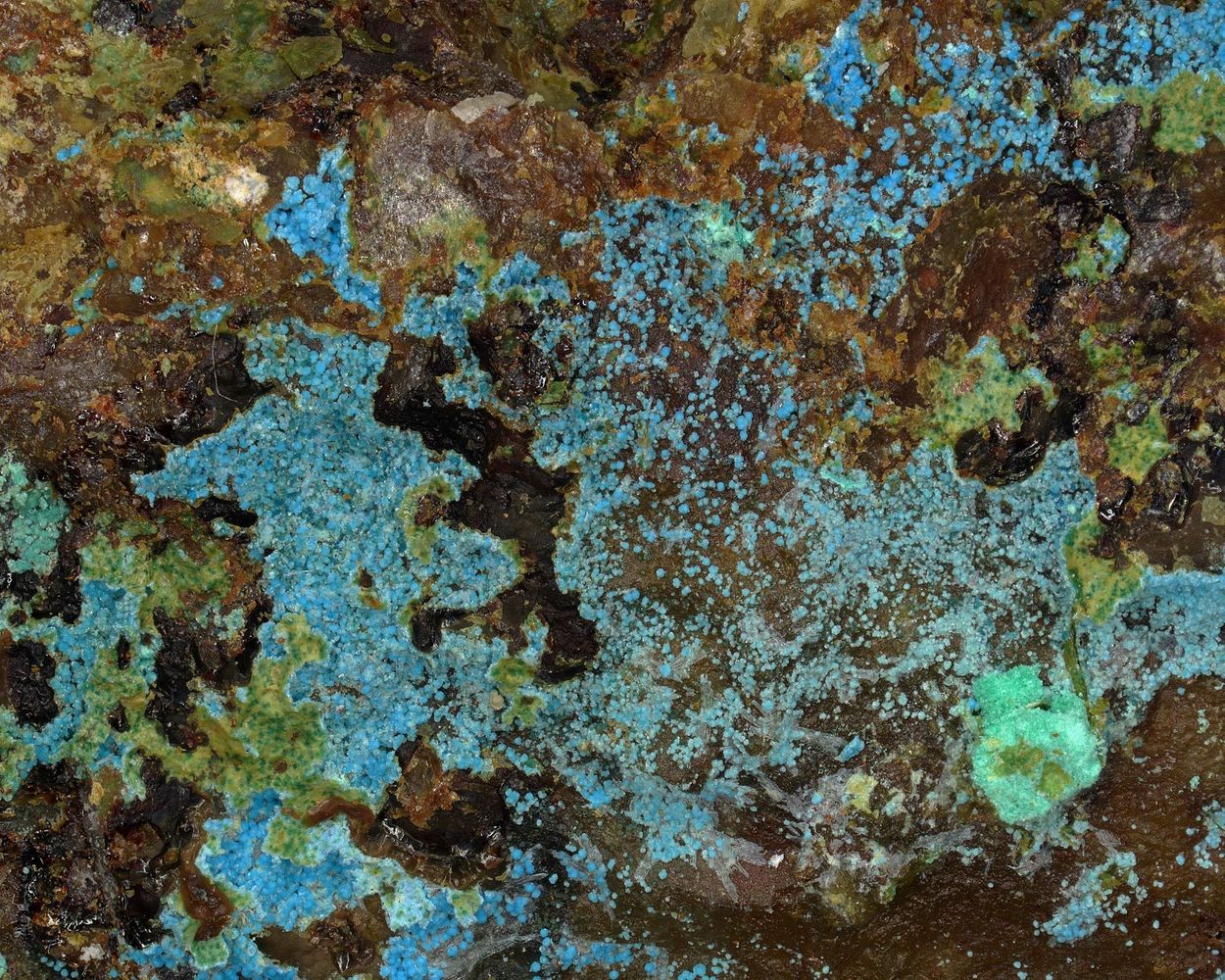 Camérolaite