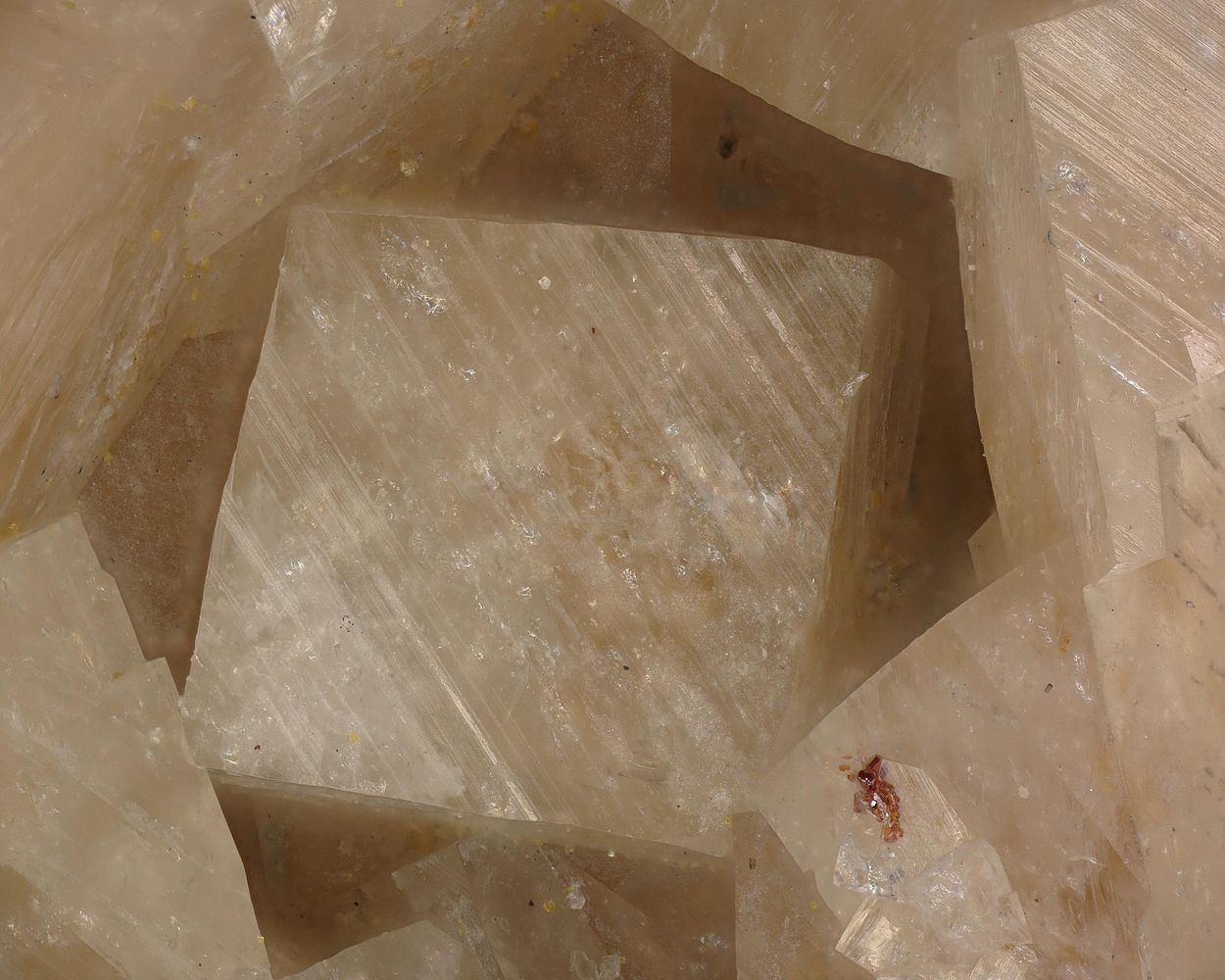 Woodhouseite