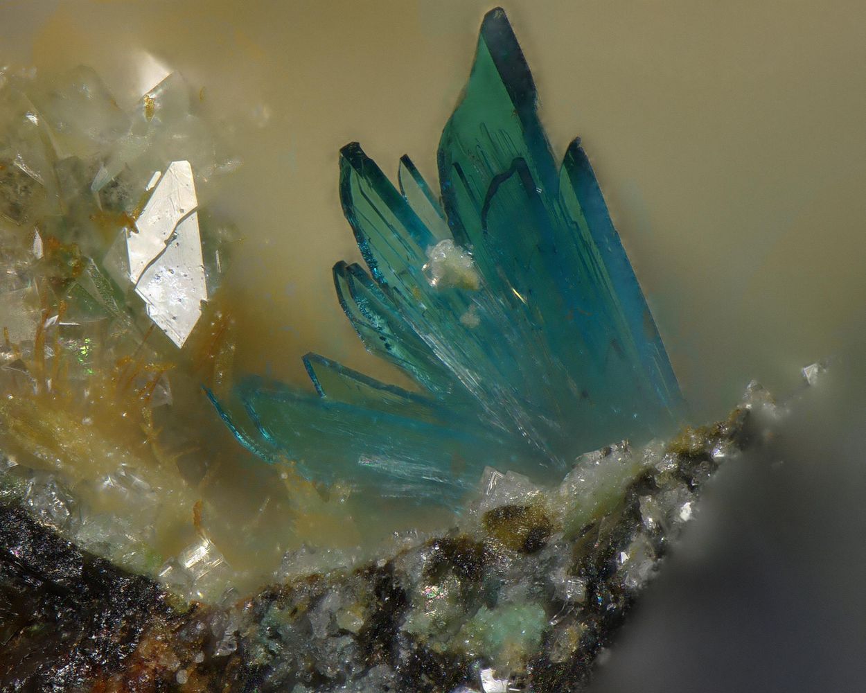Wroewolfeite