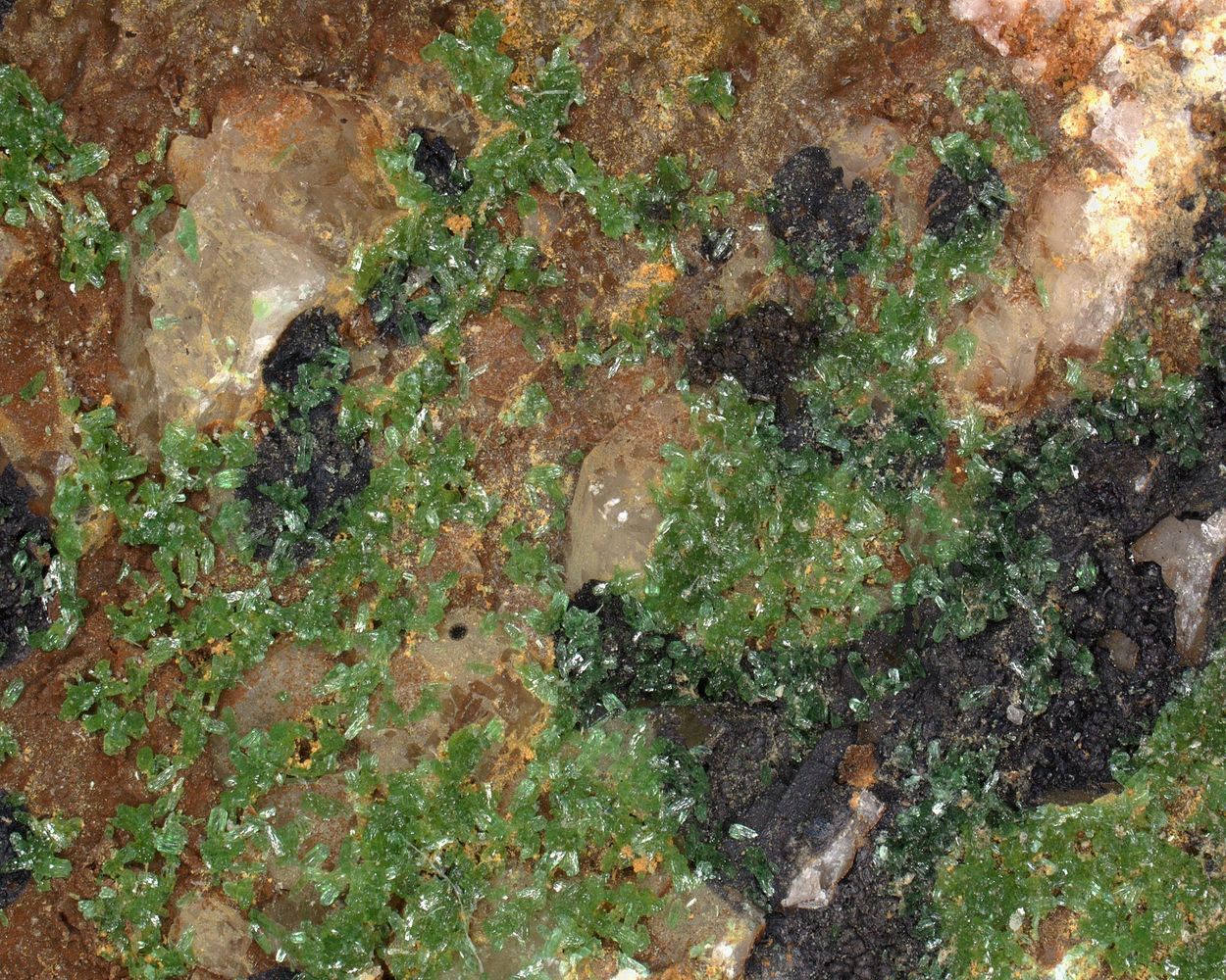 Zincolivenite