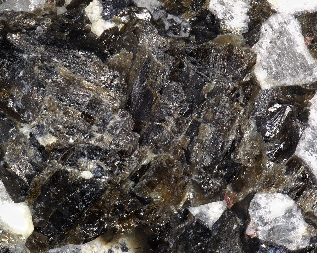 Potassic-ferro-ferri-taramite