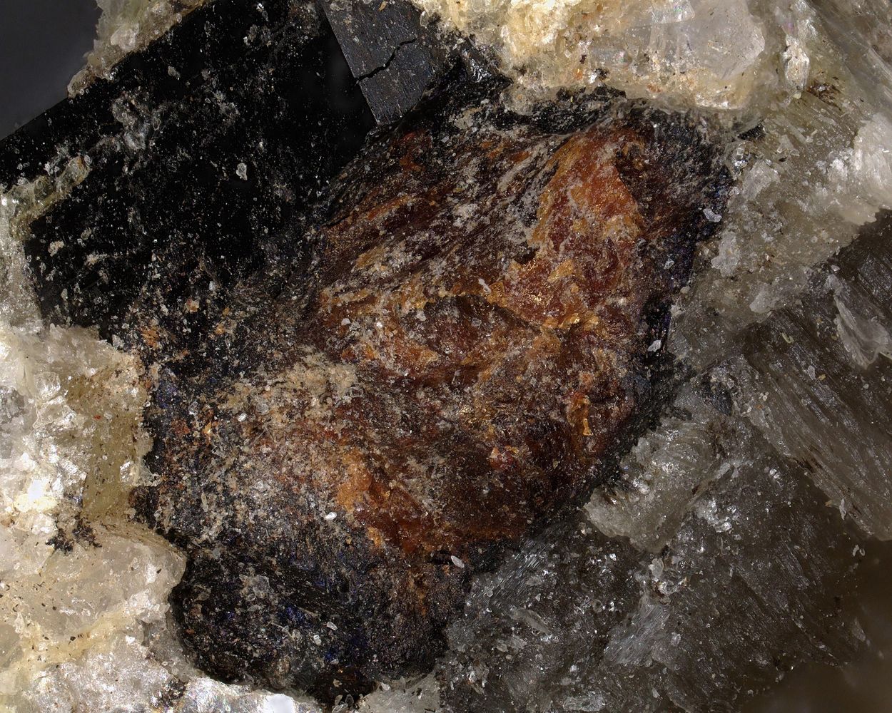 Tantalowodginite