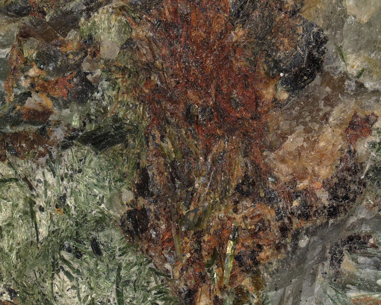Rasvumite