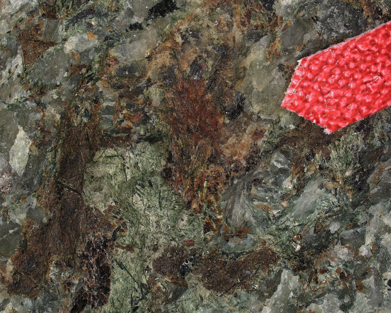 Rasvumite