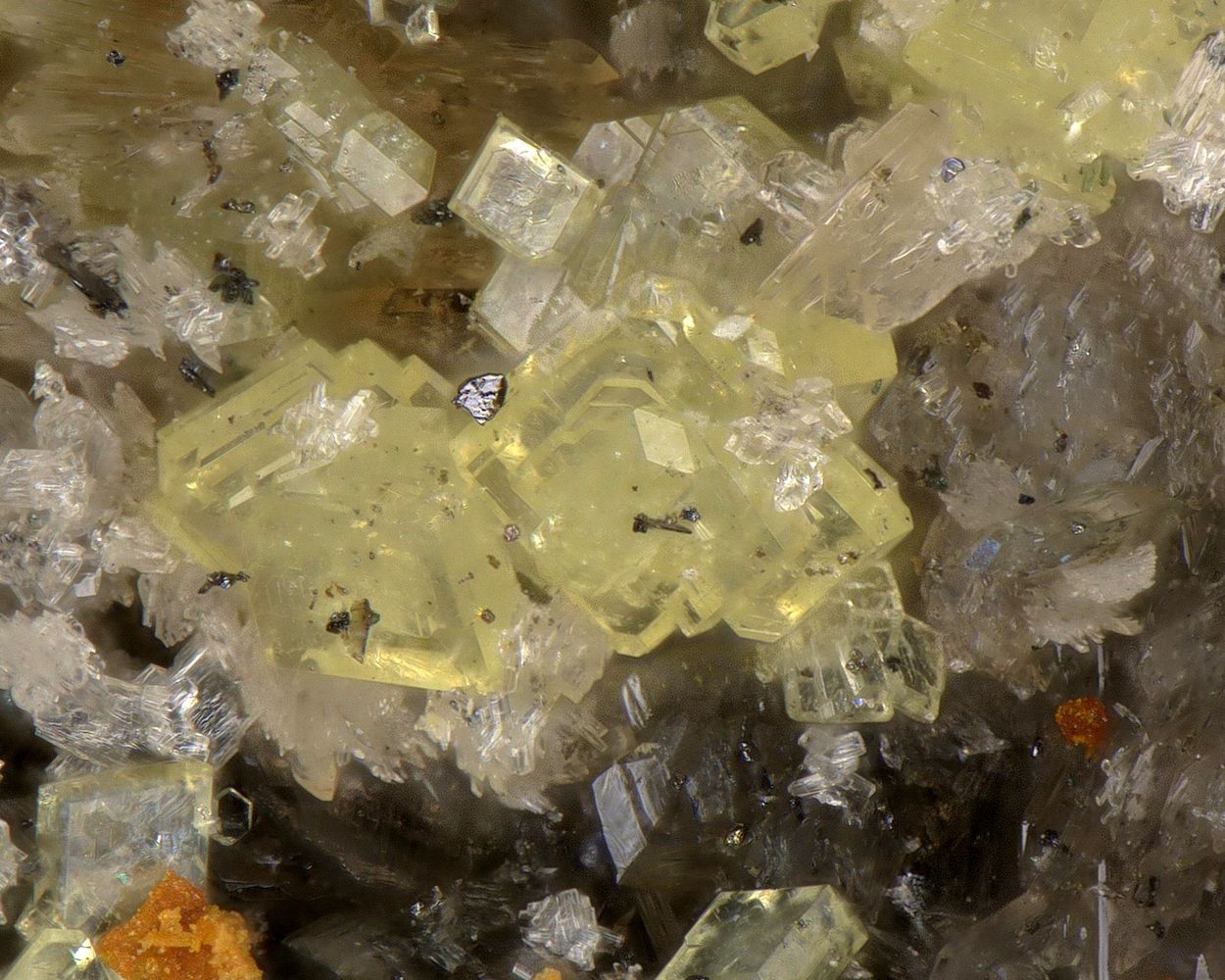 Benyacarite