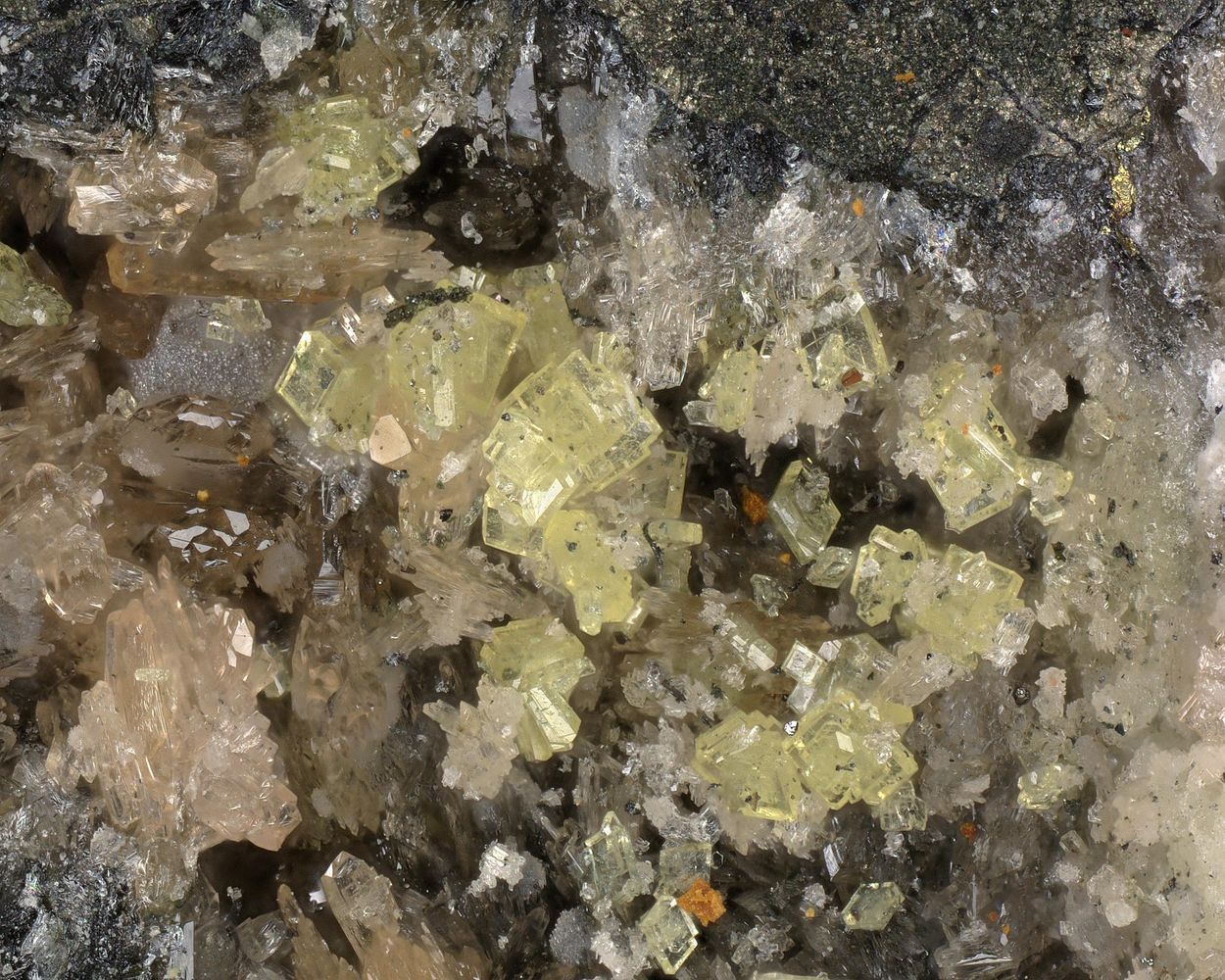 Benyacarite