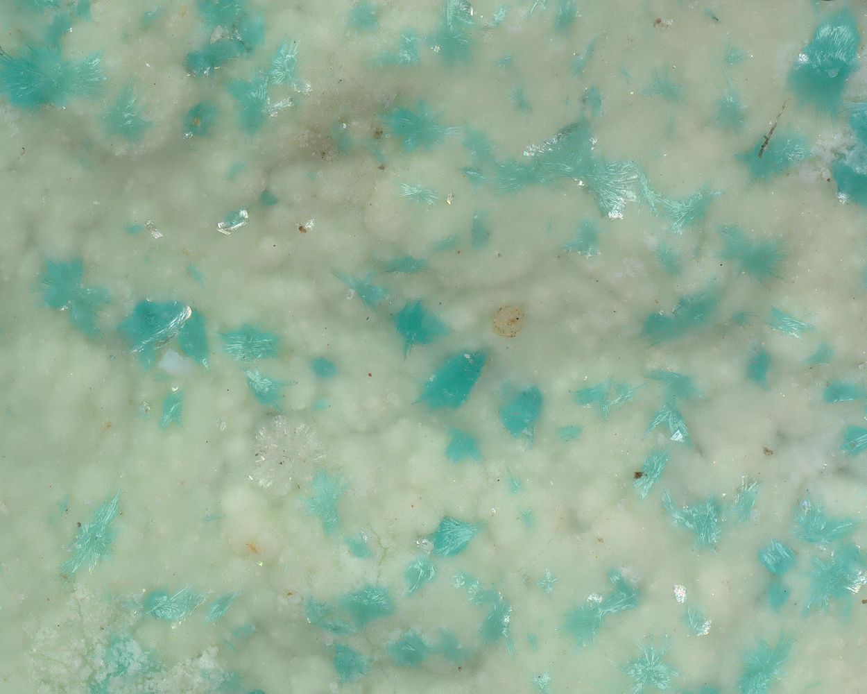 Schulenbergite