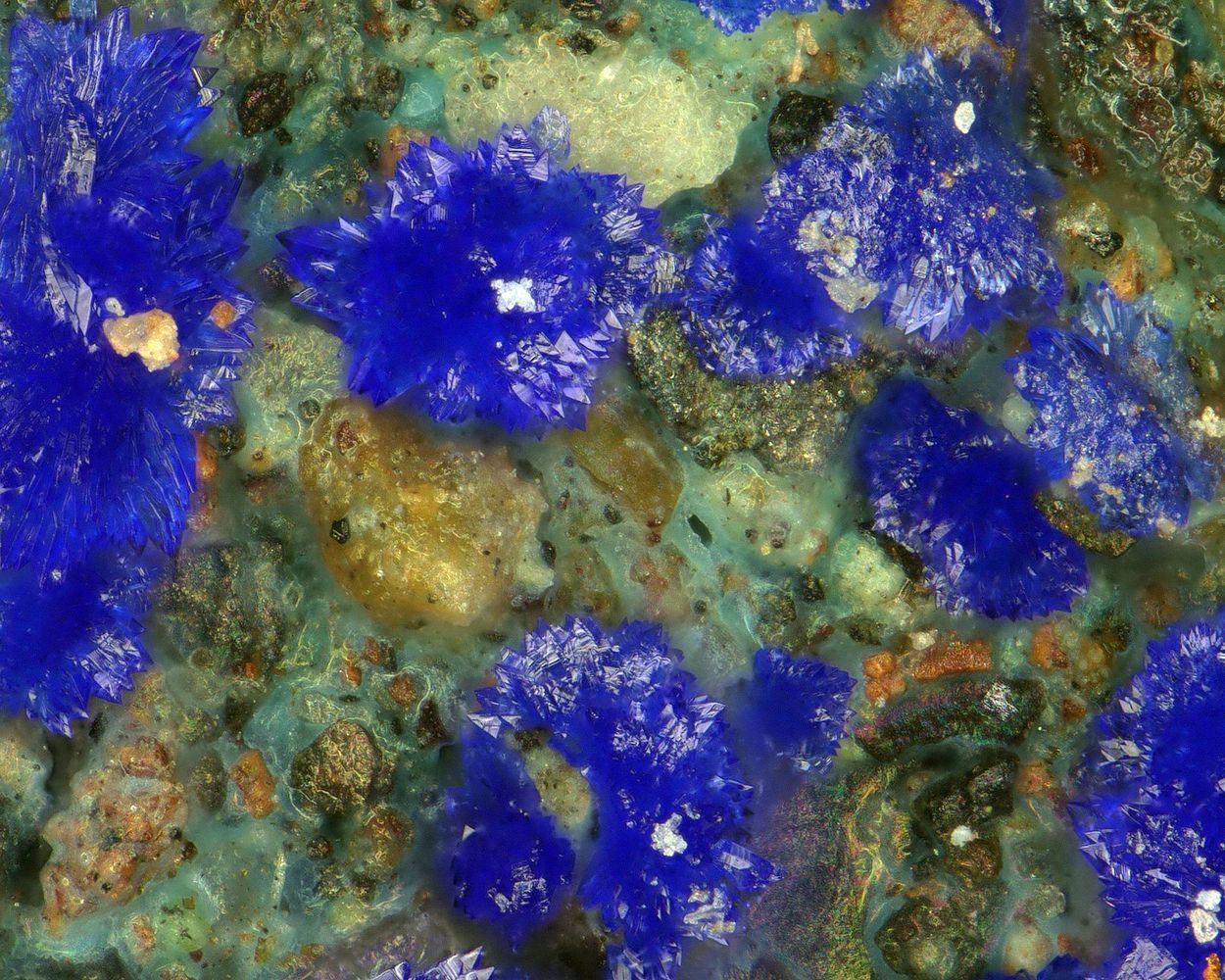 Callaghanite