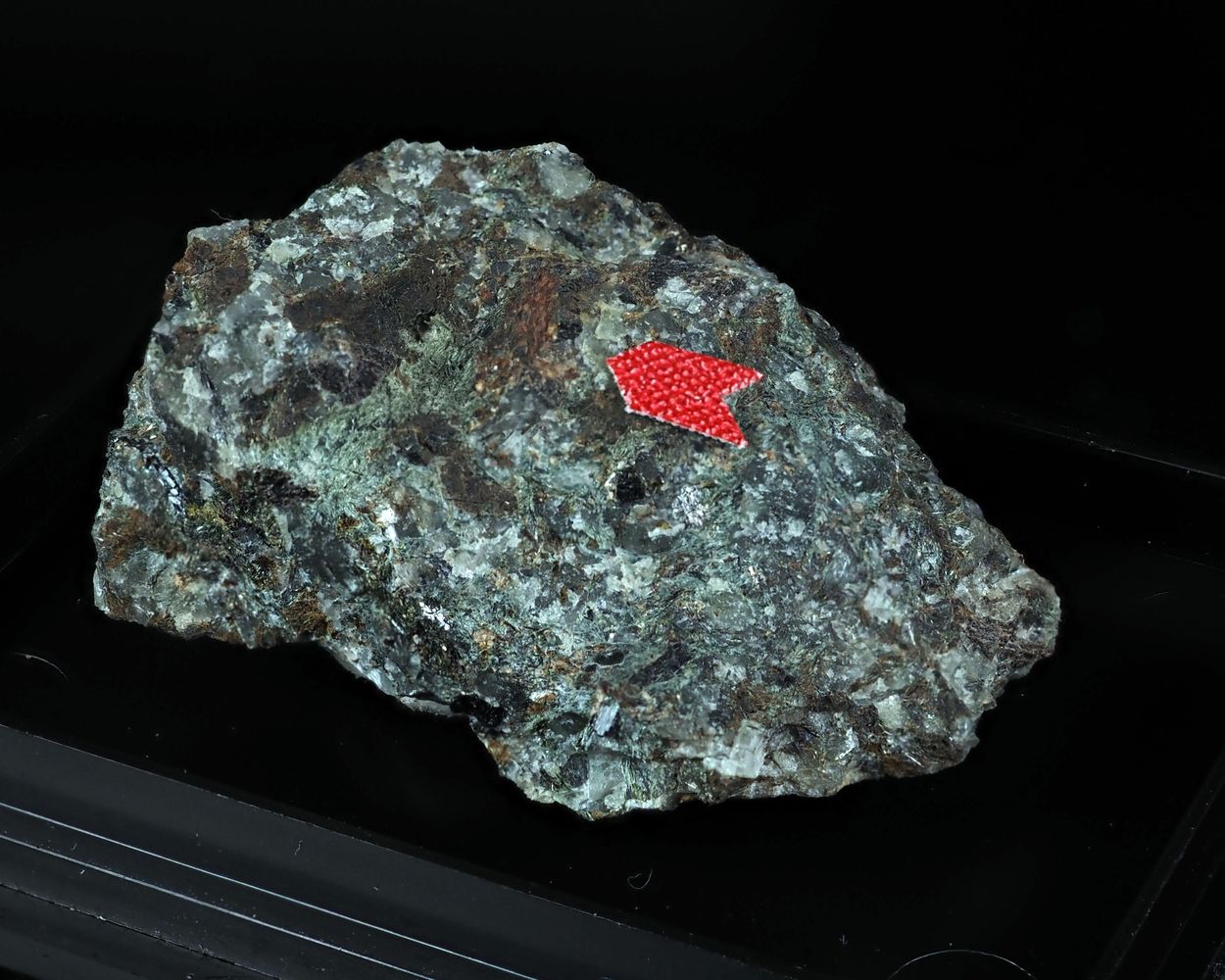 Rasvumite