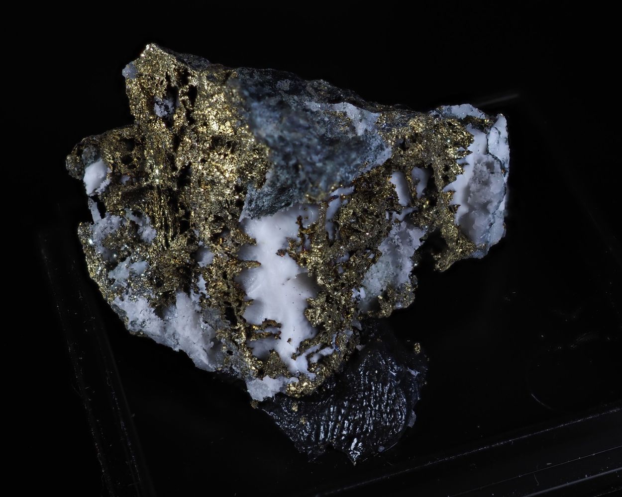Krupkaite