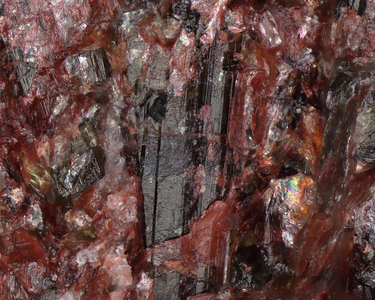 Fluor-schorl