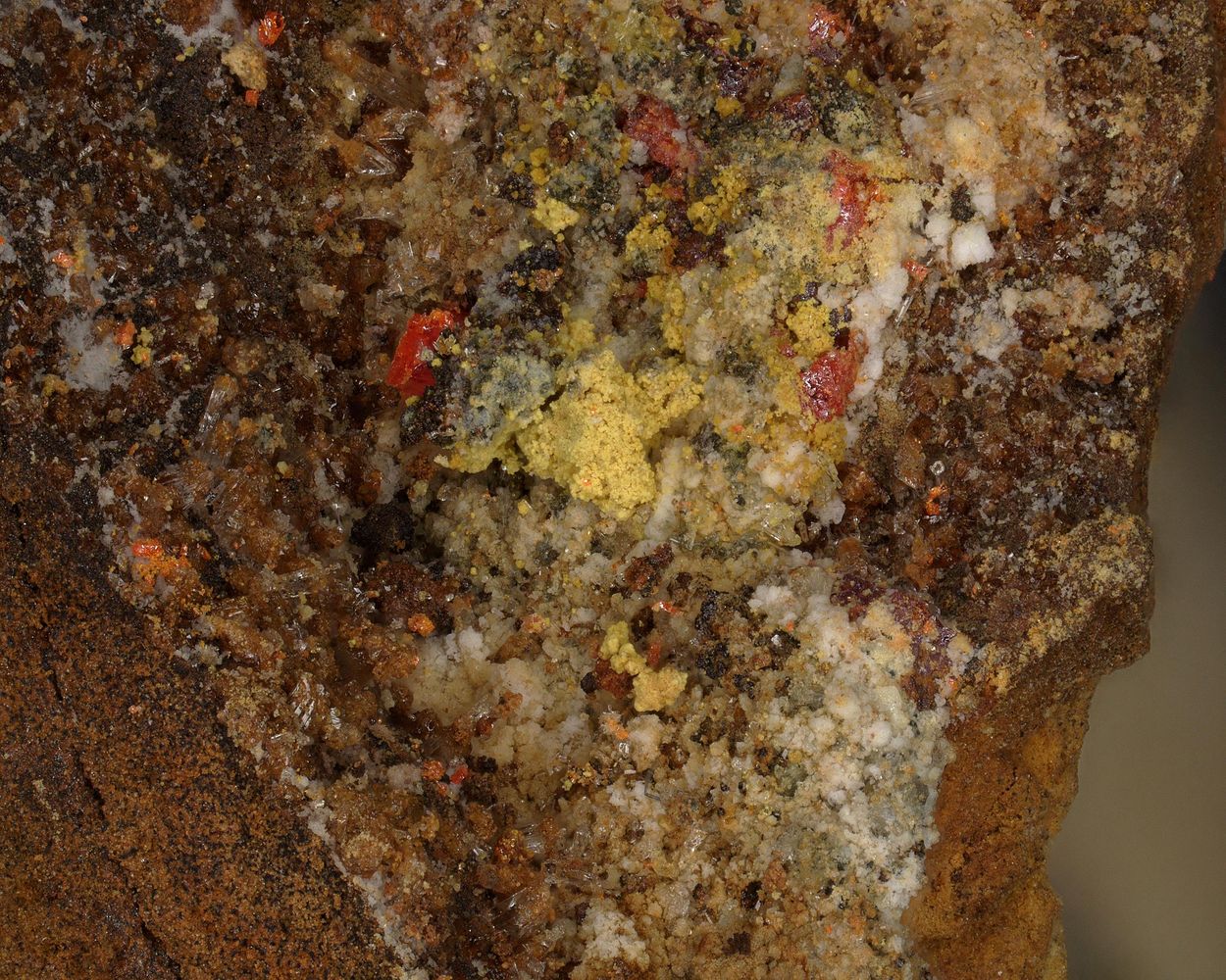 Dorallcharite