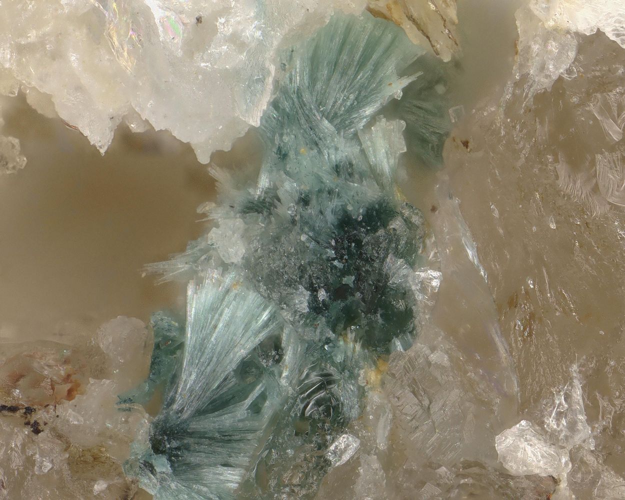 Gormanite