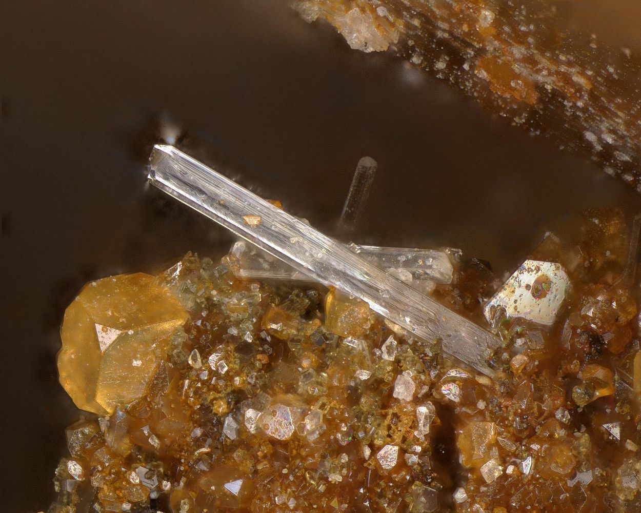 Hedyphane