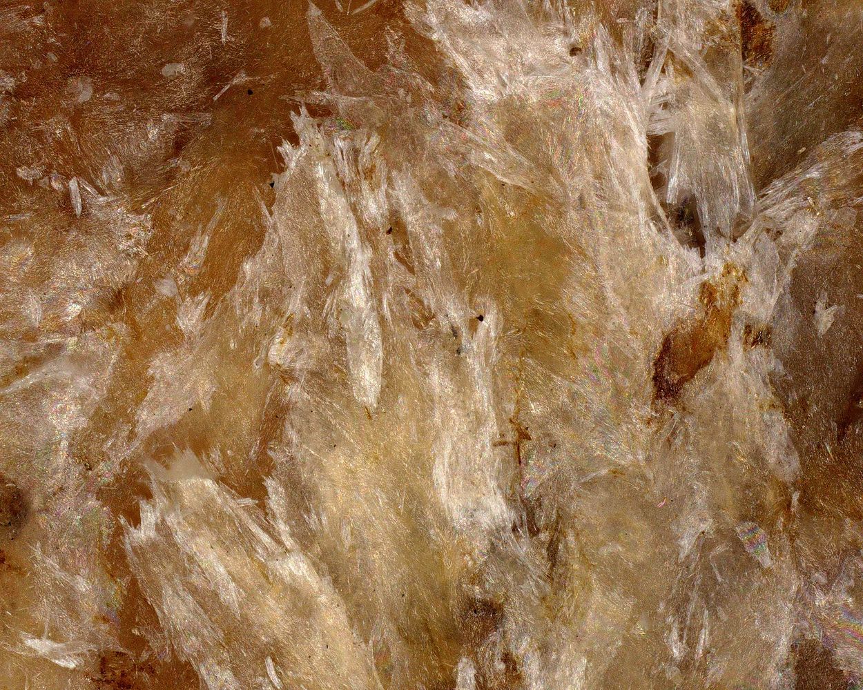 Eveslogite