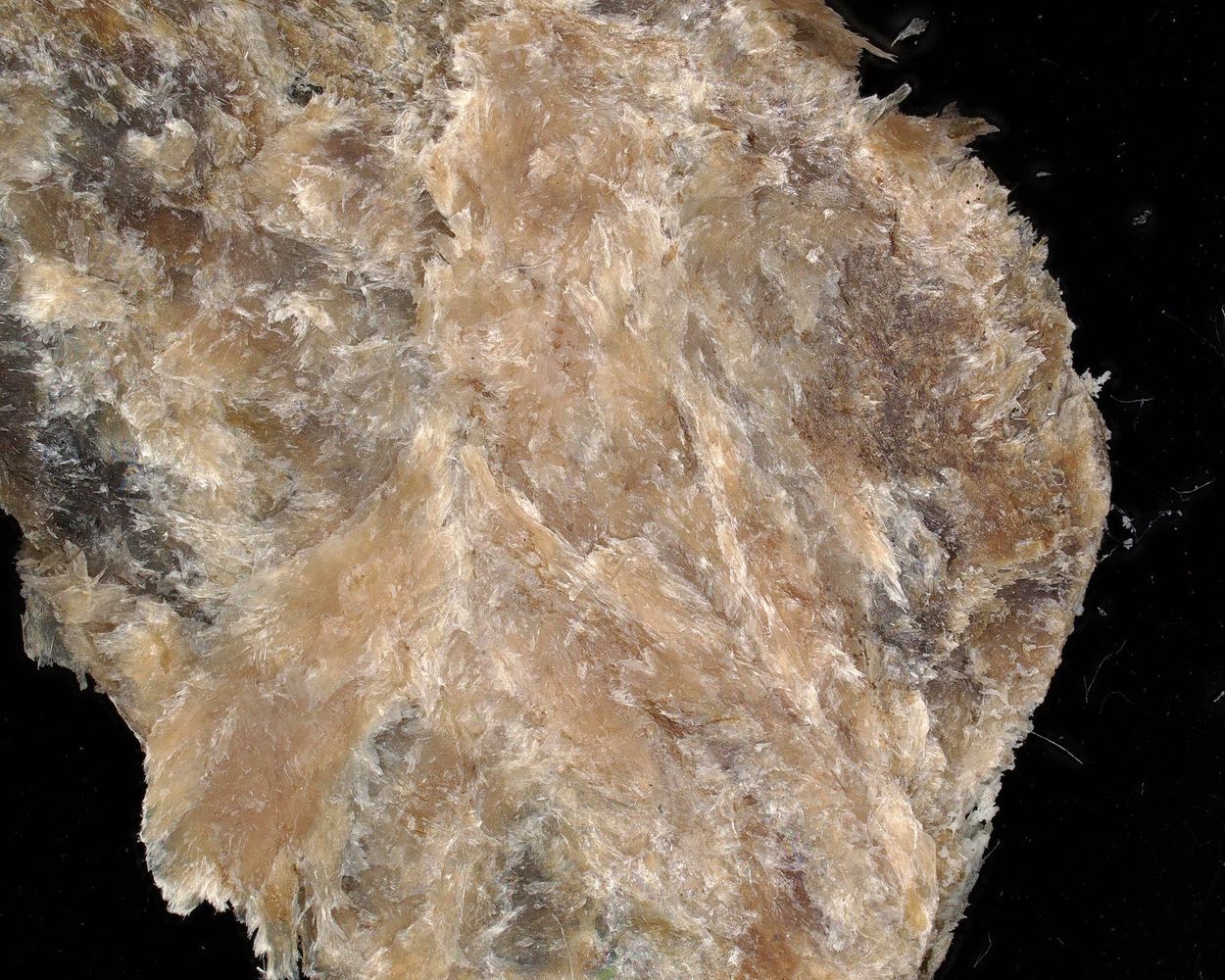 Eveslogite