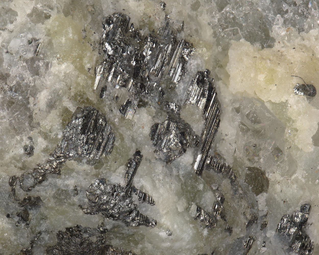 Krupkaite