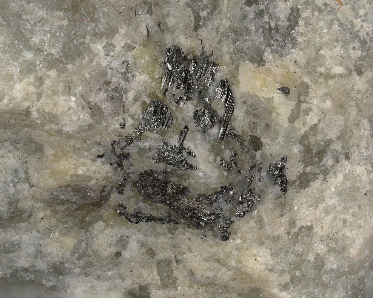 Krupkaite