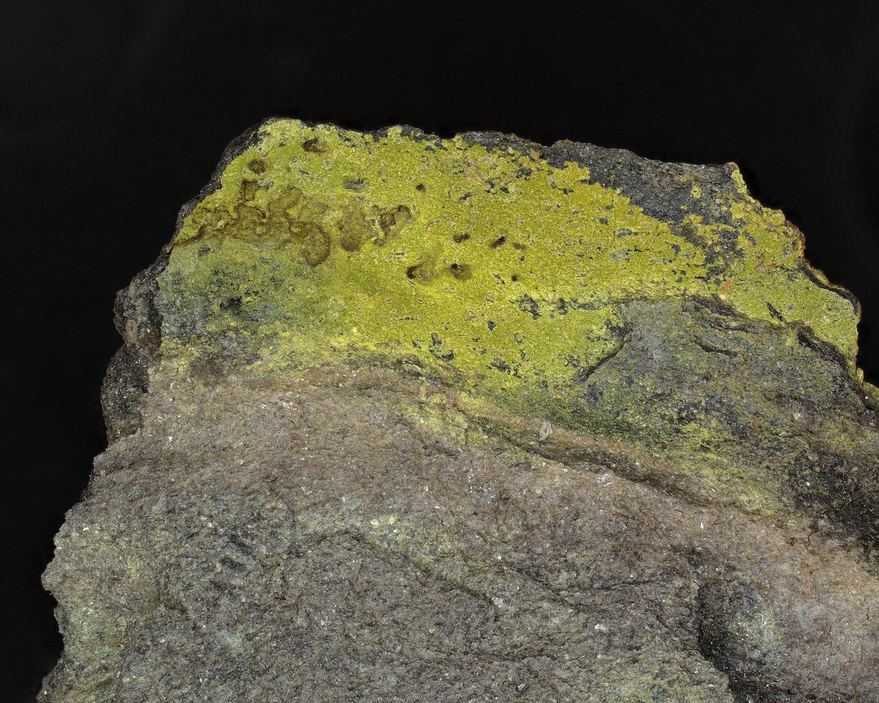 Sengierite