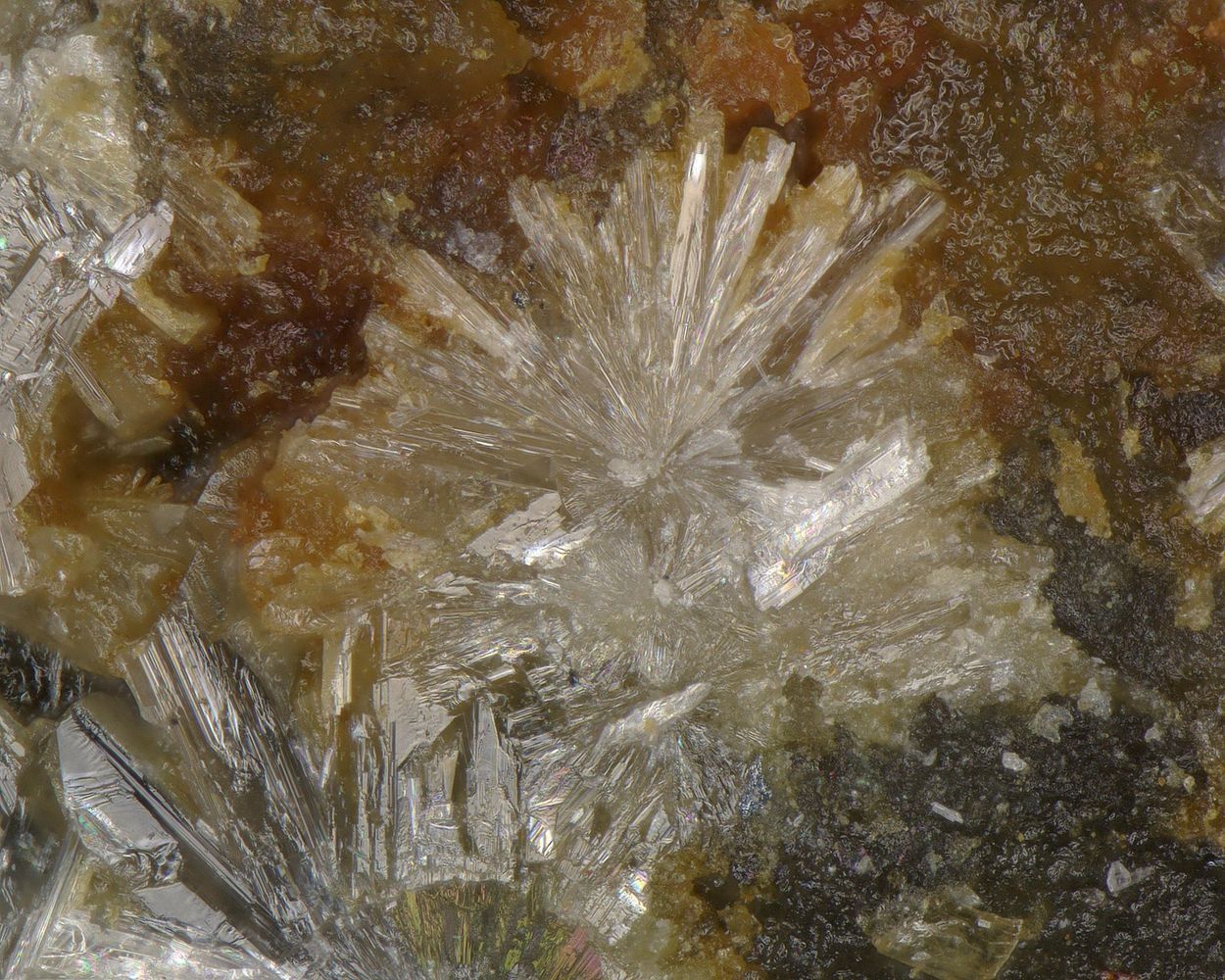Valentinite