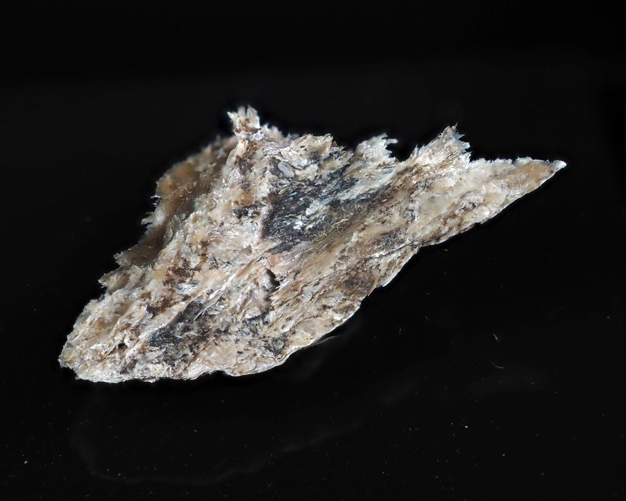 Eveslogite