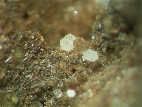 Roedderite