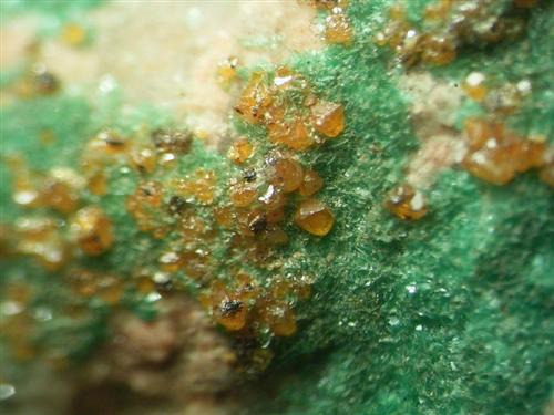 Wulfenite & Torbernite