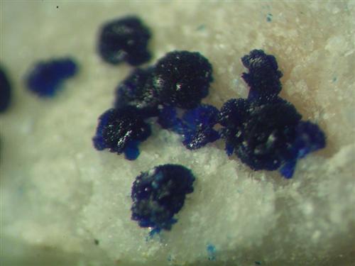 Azurite On Dolomite