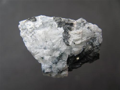 Afwillite On Ettringite