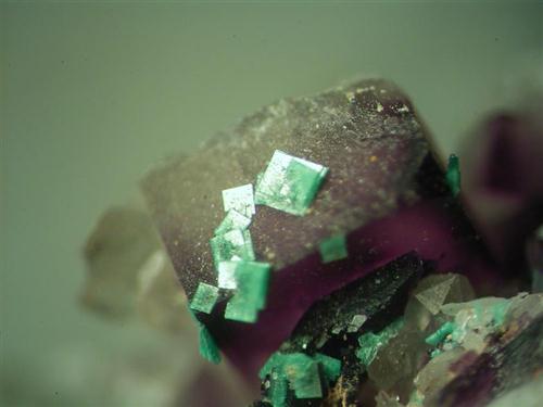 Metatorbernite