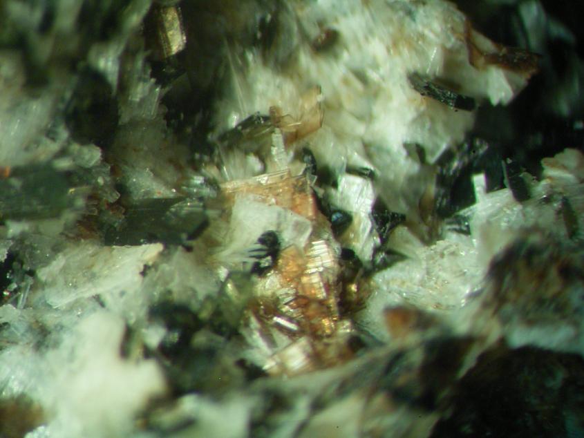 Günterblassite & Barytolamprophyllite