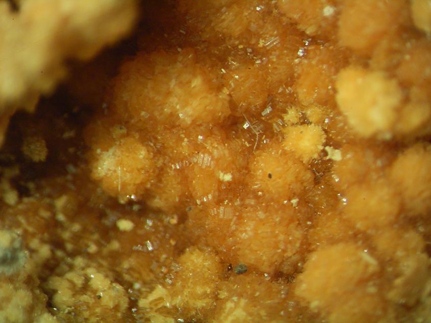 Metasideronatrite